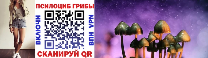 дарнет шоп  Аткарск  Псилоцибиновые грибы Magic Shrooms 